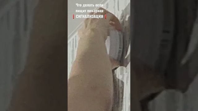 ПИЩИТ СИГНАЛИЗАЦИЯ ! Замена батарейки на пожарной сигнализации #лайфхак #пожарнаясигнализация смотреть онлайн