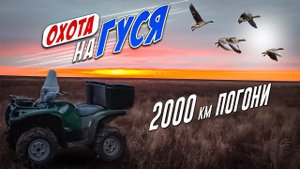 охота на гуся 2023! 2000км  в погоне за гусями