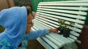 Видео привет с 6 соток 22 августа 2024 года.