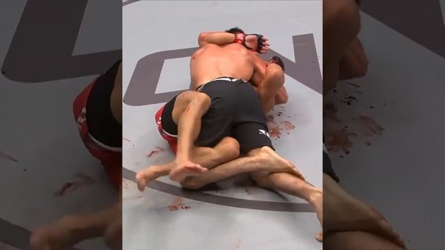 Даги Арсланалиев и Тимофей Настюхин зарубились знатно #mma