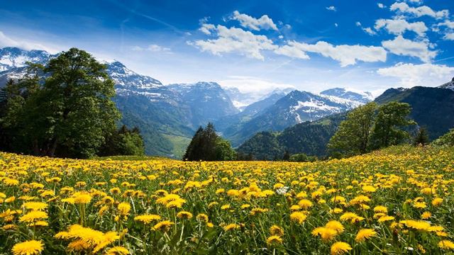 Nature Красивая природа Спокойная музыка Beautiful nature and Calm music