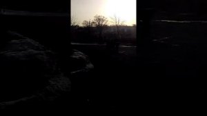 Дизельный мотороллер)))