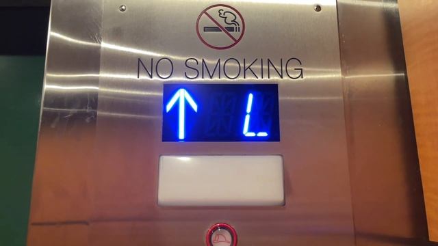 US (mb. TKE) Traction Elevators @ Hilton - Clearwater Beach, FL смотреть онлайн