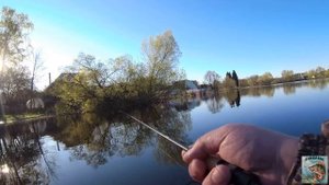 Мормышинг. Спиннинг Spaced 1,98 м тест 0,2-3 гр  и 2,04 тест 0.2 - 3 гр.