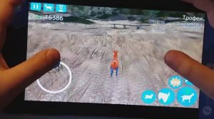 Горный козёл!!!