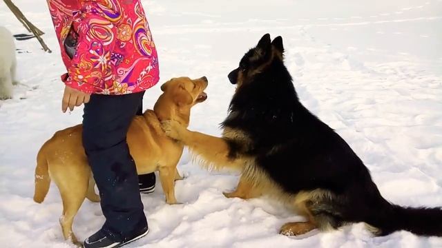 Вот так надо хранить девственность? смотреть онлайн
