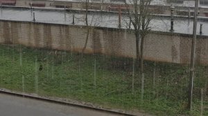 Влог 26-30.04.21 г. На 3 дня вы забудьте про меня! Получила подарок с пряжей!