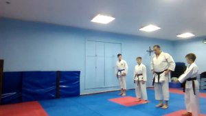 Базовая Техника в каратэ Шотокан.