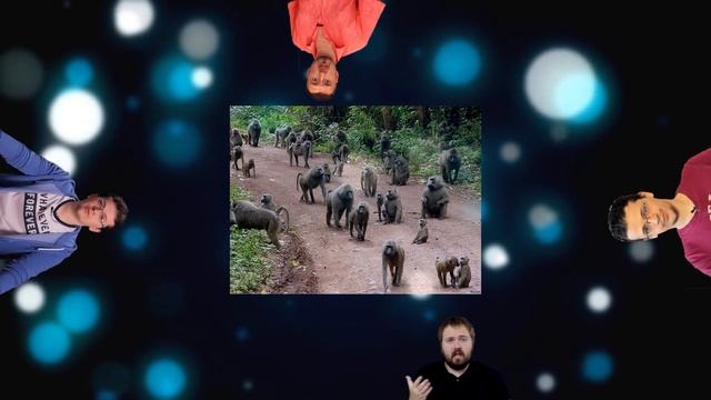 ТЕХНОБЛОГЕРЫ, КОТОРЫХ МЫ ЗАСЛУЖИЛИ