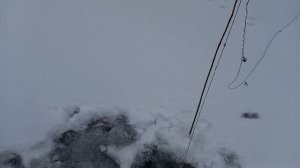 Рыбалка на Косынки. А Мы просто Ходим.