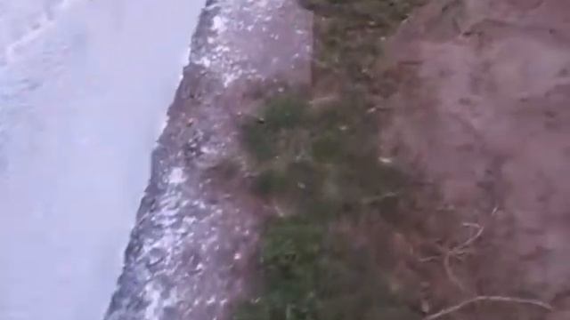 Если покрасить дерево краской по бетону. Что будет? Эксперимент. Часть 1