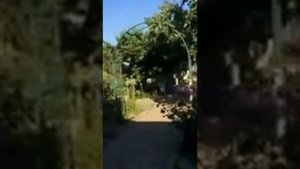 Наш домик у моря, с.Новопетровка, ул.Набережная 2.