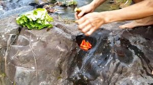 survival in the rainforest find lots of egg duck & cook duck with coconut Eating delicious |  Ep1 V