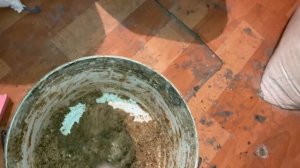 Чёрная Львинка