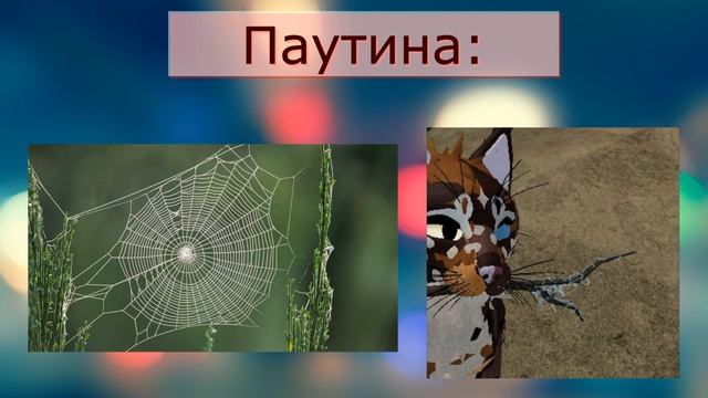 |Гайд по травам| Коты воители|Warrior Cats Ultimate|