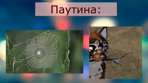 |Гайд по травам| Коты воители|Warrior Cats Ultimate|