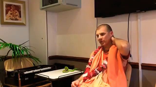 Каждый выдох должен быть воспеванием и благодарностью. Е.С Бхакти Расаяна Сагар Свами. Джапа Кришна смотреть онлайн