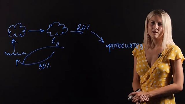 Биология 11 класс: Круговорот водорода и кислорода. Круговорот воды смотреть онлайн