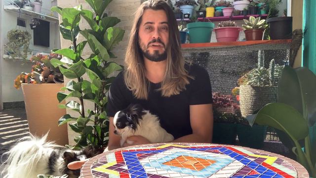 O que você precisa saber antes de comprar suculentas pela internet смотреть онлайн