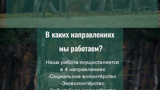 Волонтёрский отряд колибри