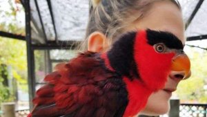 Отборные приколы за апрель 2022