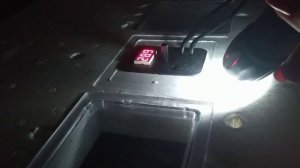 Цыплята вылупились раньше срока