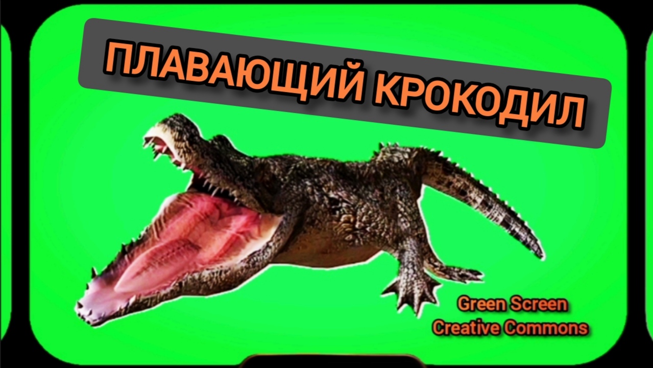 Плавающий крокодил видео Green Screen футаж. Хромакей анимация на зелёном фоне.