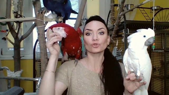 ВАЖНАЯ ИНФОРМАЦИЯ !!!!)