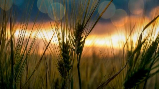 Диана Анкудинова " Так случилось,мужчины ушли... " смотреть онлайн