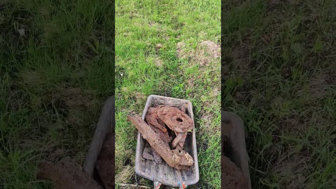 #quest Теория камрада смотреть онлайн