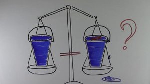 ЧТО ТЯЖЕЛЕЕ? ВОДА ИЛИ ВОДА ВМЕСТЕ С...?