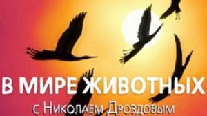 В мире животных с Васи́лием  Песко́вом 1989 г