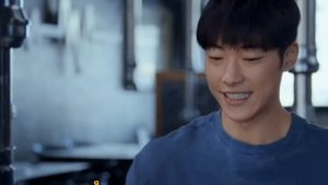 название :гончие псы / охотничьи псы