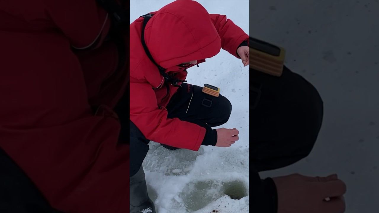 ЛЕЩ не ЛЕЗЕТ в ЛУНКУ / КРУПНЫЙ ЛЕЩ ЗИМОЙ #рыбалка #рыбалка2023 #рыбалканареке смотреть онлайн