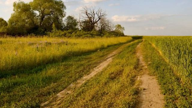 Привет, давно не виделись смотреть онлайн