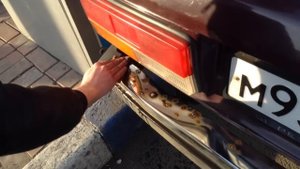 Удаление ржавчины с бампера ВАЗ 2107 за минуту!)