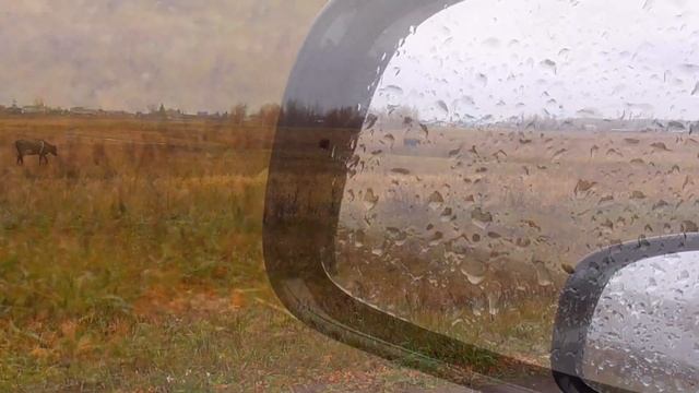 У Сибирского блогера Баженит последний день выпаса скотины дойные коровы на поле возле деревни сел смотреть онлайн