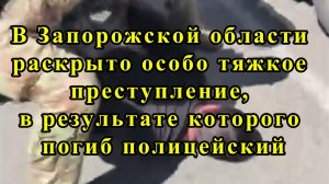 В Запорожской области раскрыто особо тяжкое преступление, в результате которого погиб полицейский