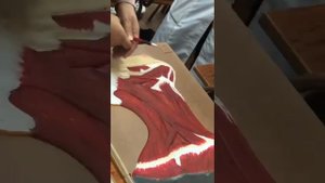 Мышцы головы и шеи #анатомия