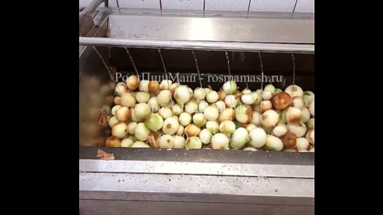 Обзор работы чистки лука от кожуры на GB от РостПищМаш смотреть онлайн