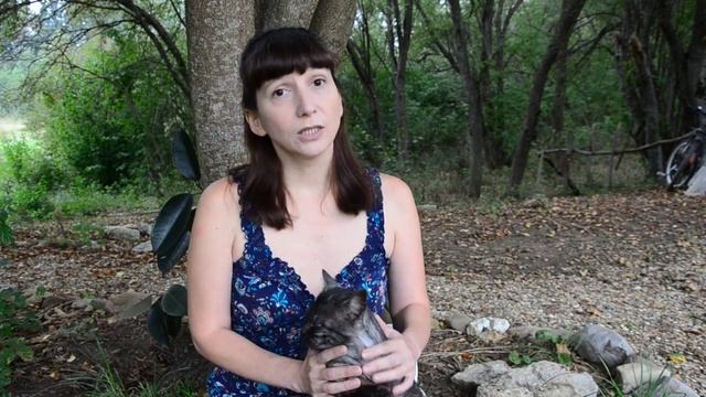 10 ошибок при переезде в поместье. 10 - Переезд в поместье как конечная цель. Анна Донатова смотреть онлайн