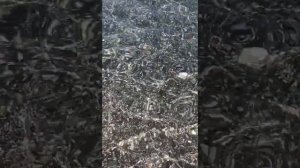 Кемер, Чамьюва Club Akman beach весь отдых в одном видео 26 августа 2021 год Турция отпуск