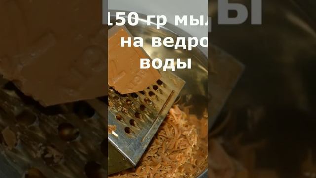 Хозяйственное мыло в огороде, как применять?