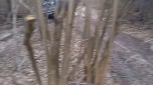 МИТСУБИСИ L 200 НА 35. ПО БЕЗДОРОЖЬЮ