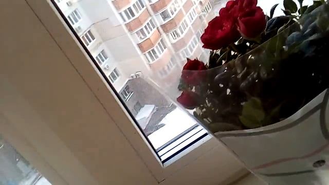 Описание моего животного смотреть онлайн