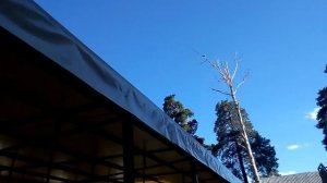 Тентовый навес