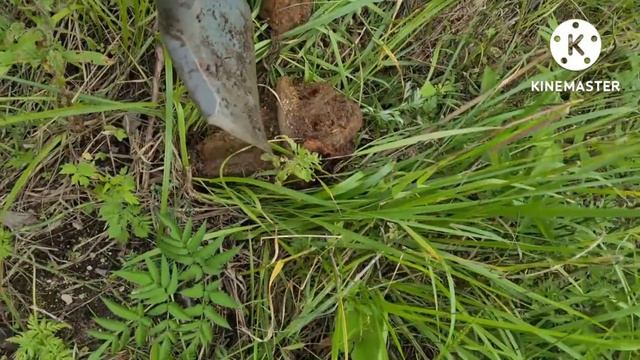 Коп металла у дороги . Тяжёлые железки . смотреть онлайн