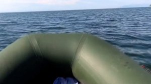 SEA-PRO 2.5 максимальная скорость