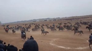Бузкаши ш.хисор д.шуроб 05.03.2022