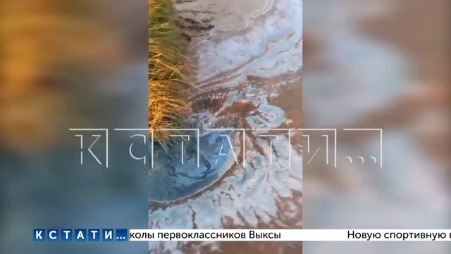 Субстанция сине-зеленого цвета неизвестного происхождения покрыла берега Волги на многие километры смотреть онлайн